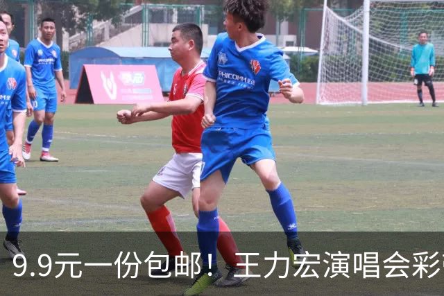 9.9元一份包邮！王力宏演唱会彩带被捡走后售卖，律师：彩带属主办方放弃的物品，个人捡拾收藏合法，对外售卖若标注官方周边则涉嫌侵权